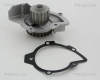 Triscan Wasserpumpe 8600 10079 FüR CitroËN Ds Fiat Ford Peugeot Toyota