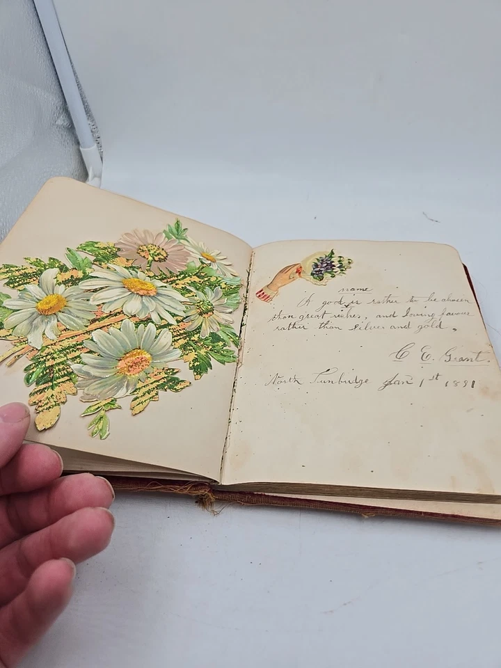 Diario vintage de finales de 1800 Foto 4 de 4