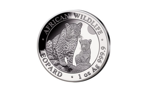 African Wildlife 1 oz Silber 2024 Somalia Leopard - Bild 1 von 2