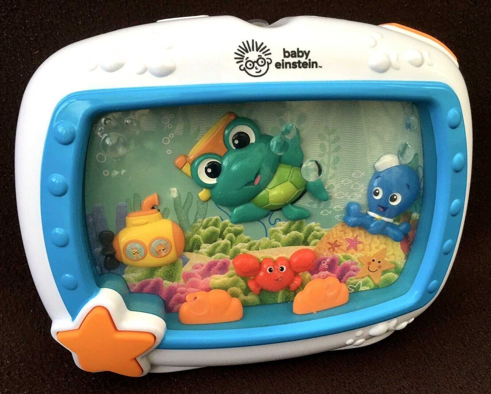 little einstein aquarium