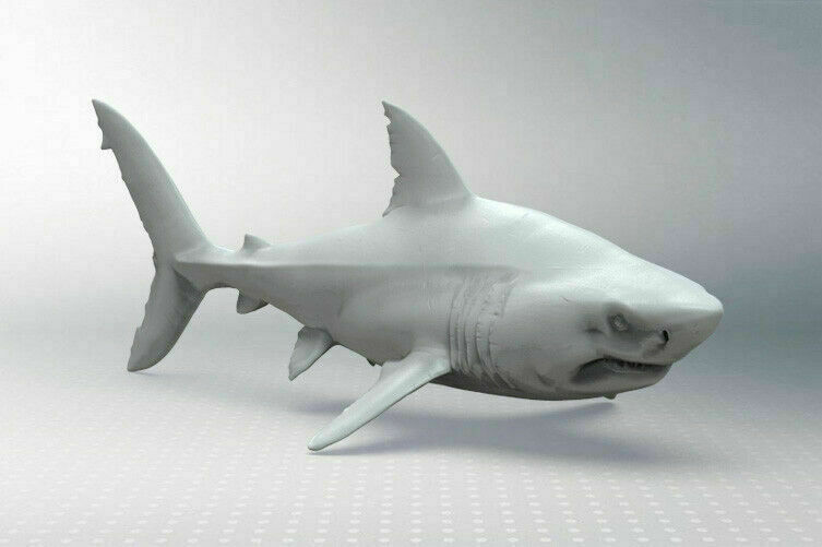 トイガン shark NV2318 – Shark Water Gun – 32cm – Jack in the Box