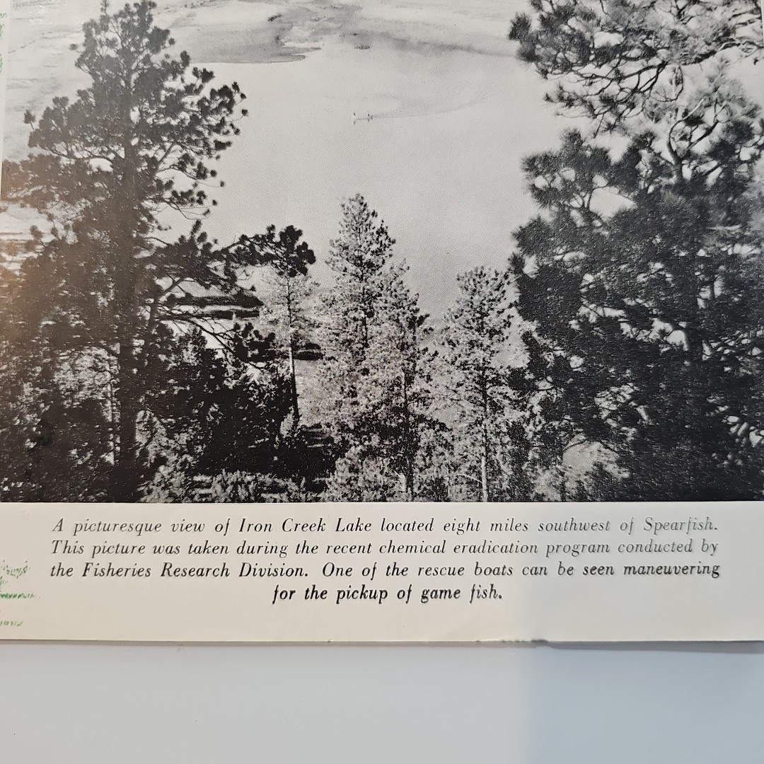Foto 2 di 8