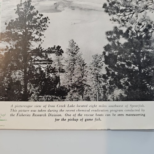 Vintage Hunting + More 1951 South Dakota Conservation Digest gennaio 16 pagine - Foto 2 di 8