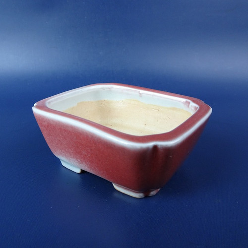 Shibakatsu Bonsai Pot Tokoname Glaze Rectangular Bowl 2.8in x 2.3in Wine red - Picture 2 of 7