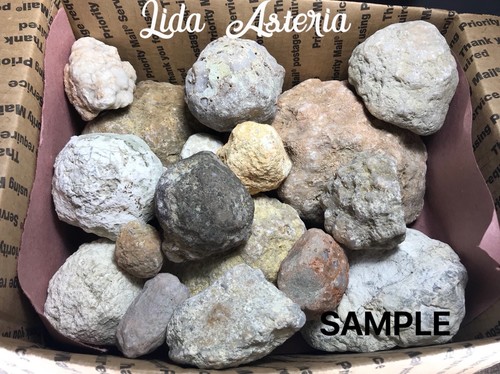 Unopened Geodes Mix Variety Medium Box Natural Quartz Kentucky Crystal 13-15 Lbs - Picture 2 of 12