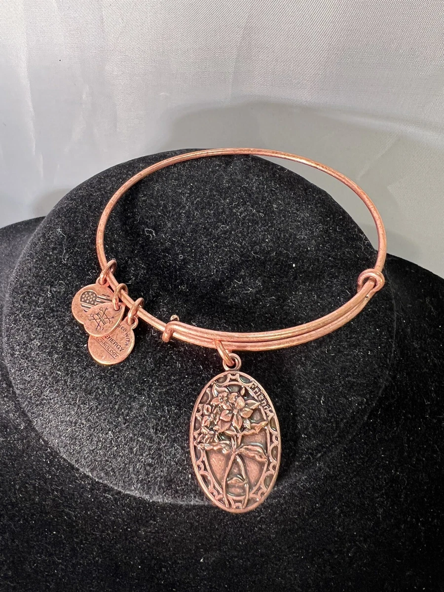Alex and Ani Friend Loyal Inspiring Supportive Charm Bangle Copper