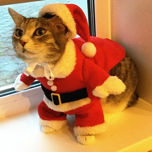 Christmas Cat Costumes Funny Santa Claus Clothes Small Cats Dogs Xmas New Year - Picture 7 of 10