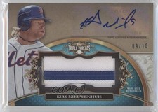 2013 Triple Threads Unity Jumbo Relics Sapphire 9/10 Kirk Nieuwenhuis Auto 0b2