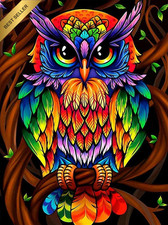 Cross Stitch Embroidery Kits Pre-Printed Colourful Owl Pictures 11CT 14.2 X 18.1