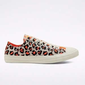 all star leopardo