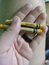 Binny and Smith Crayola Crayons Discontinued Dandelion Yellow