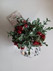 Foto 1 di 4
