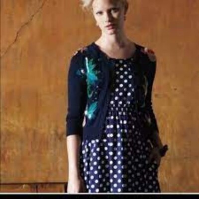 Anthro Vanessa Virginia Dress Women's size 6 Blue White Polka Dot Empire  Waist | eBay
