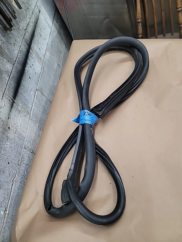 Mini Cooper 2004 puerta lateral para pasajeros sello de puerta resistente al clima (bin 100) Foto 2 de 4