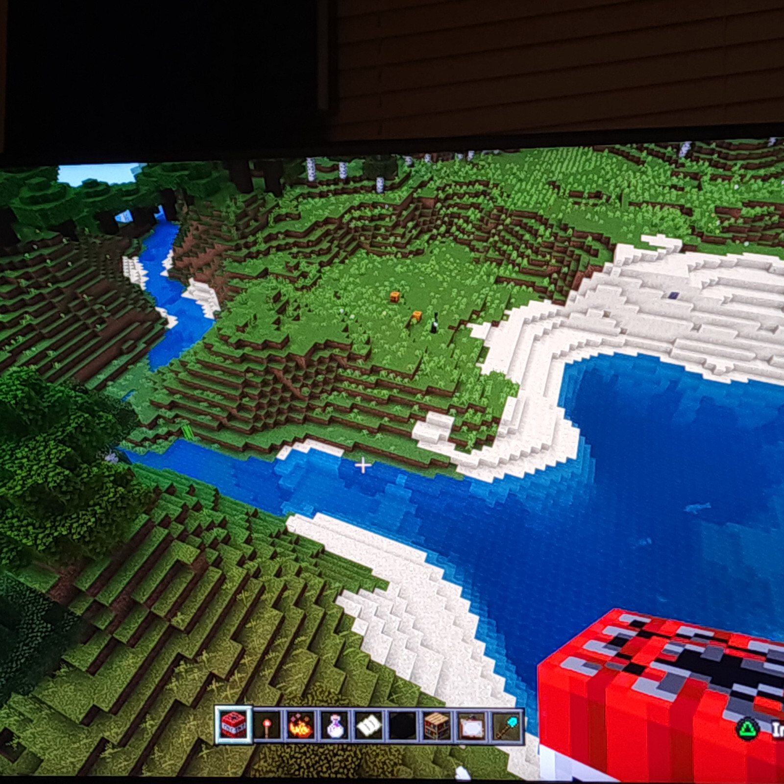 Picture 10 of 10