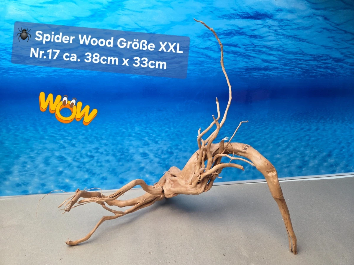 Xxl Aquarium Wurzel online kaufen | eBay.de