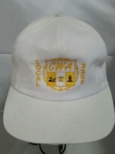 CWA Local 2252 Baseball cap/hat--classic snapback -one size-Union made in USA