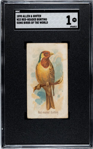 1890 N23 Allen & Ginter Red-Headed Bunting Song Birds of the World SGC 1 - Afbeelding 1 van 6