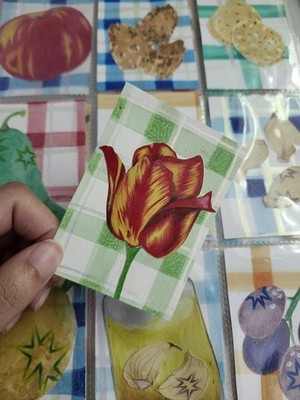 ''Floral: Tulip with a Virus'' ACEO  Signed And Dated By Alexie Janay
