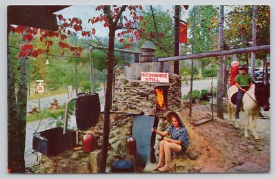 Moonshine Still Kids Burro Bankhead Forest Hepsidam AL Alabama Postcard