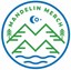 mandelinmerchco