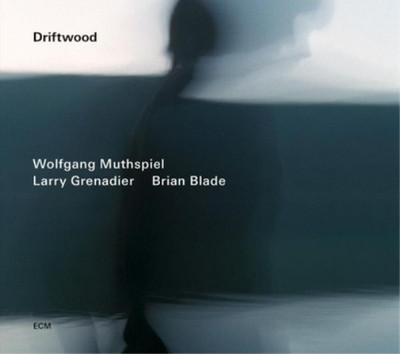 Wolfgang Muthspiel/Larry Grenadier/Brian Blade Driftwood (CD) Album