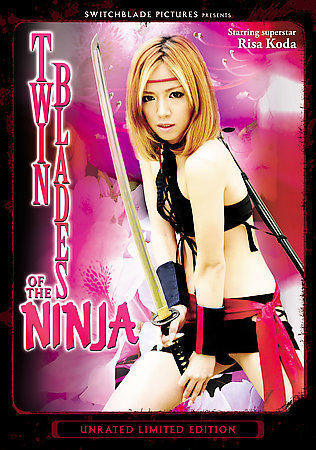 A deadly Ninja assassin. ilustração do Stock