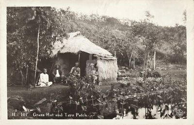 Grass hut & taro patch,Hawaii  RPPC Photo Postcard Copy