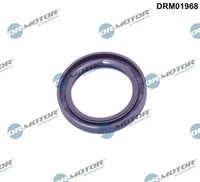 Dr.Motor Automotive DRM01968 Wellendichtring, Differential