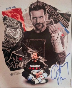 CM Punk Signed | eBay
