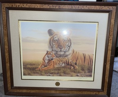 Rob Mcintosh bengalischer Tiger gerahmter Passepartoutdruck signiert Echtheitszertifikat Smithsonian Institution