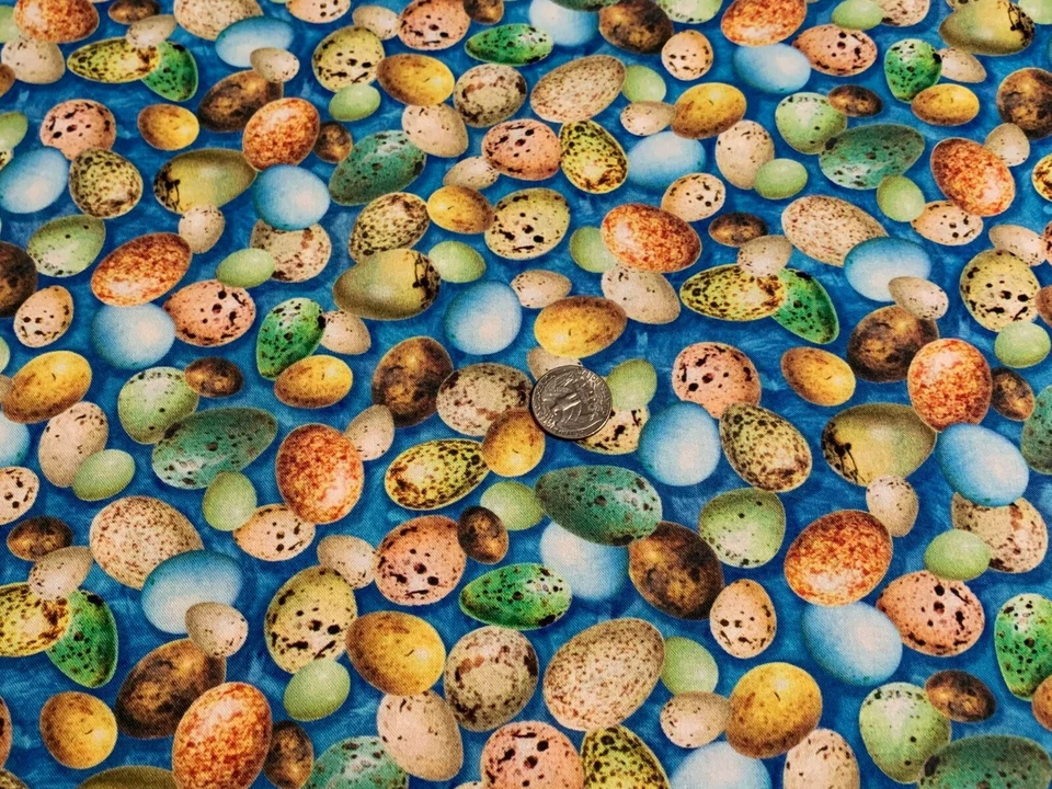 Fabric Wild Bird Eggs on Blue Hummingbirds Garden Cotton QT 1/4 Yard 28156 - Image 4 of 4