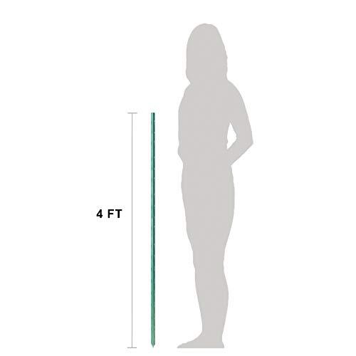 Garden Stakes 48inch 4ft Sturdy Plant Sticks/Support, Tomato 4Ft 50Pack