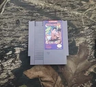 VTG NES NINTENDO LITTLE NEMO DREAM MASTER VIDEO GAME CARTRIDGE TESTED WORKING