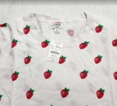 FRUITS　No.14 New women's M XXL 3X J Crew Factory strawberry print Teddie