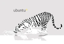 Dell 7490 Laptop Ubuntu Linux 8th Gen i5-8350U 16GB 480GB SSD  (5 Year Warranty)