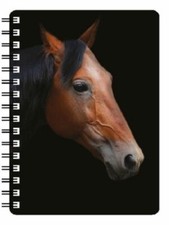 STUNNING 3D DONKEY & HORSE NOTEBOOKS PALAMINO FOAL WHITE HORSE CHESTNUT COLLAGE