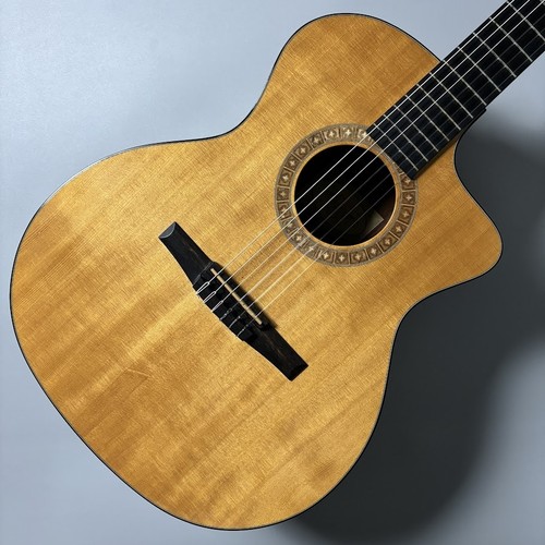Taylor NS24ce