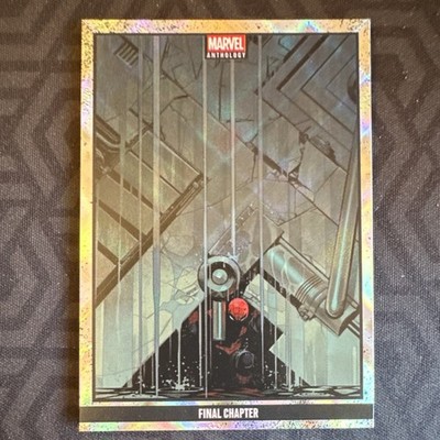 Panini Marvel Anthology Spider-Man Final Chapter #6 Limited Edition 13/200