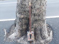Salty Dog 1-String Cigar Box Guitar - READ DESCRIPTION