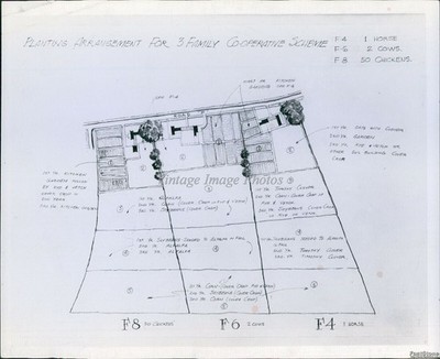 1934 General Schematic Us Substance Farm Planting Historic Vintage Photo 8x10