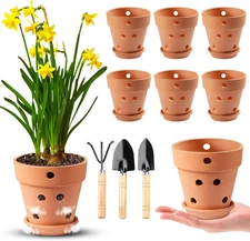 4 Inch Terracotta Orchid Pots with Holes and Saucers, 6 Pack Small Terra Cotta C