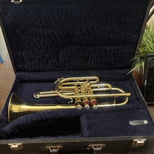 Trumpet Doc Severinsen | eBay