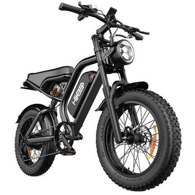 Hikeep 1000W Peak Electric Mountain Bike 20'' Fat Tire E-Bike 48V 15Ah for Adults
