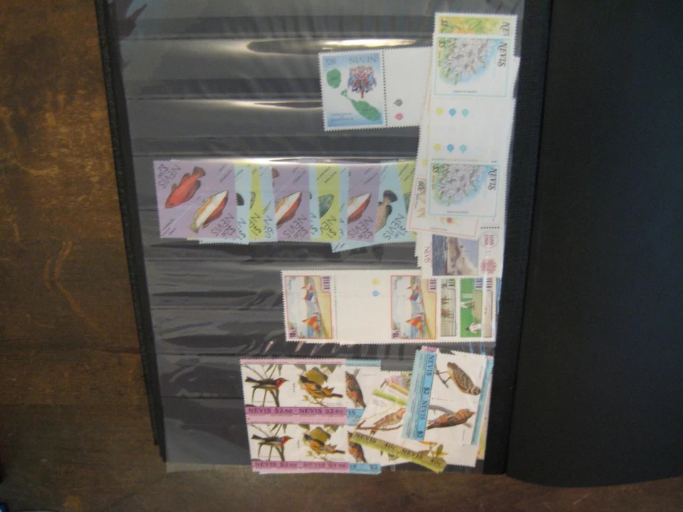 Nevis Mint Stock Cat $900 - WDWPhilatelic (D8X) 7/25 Foto 2 de 4