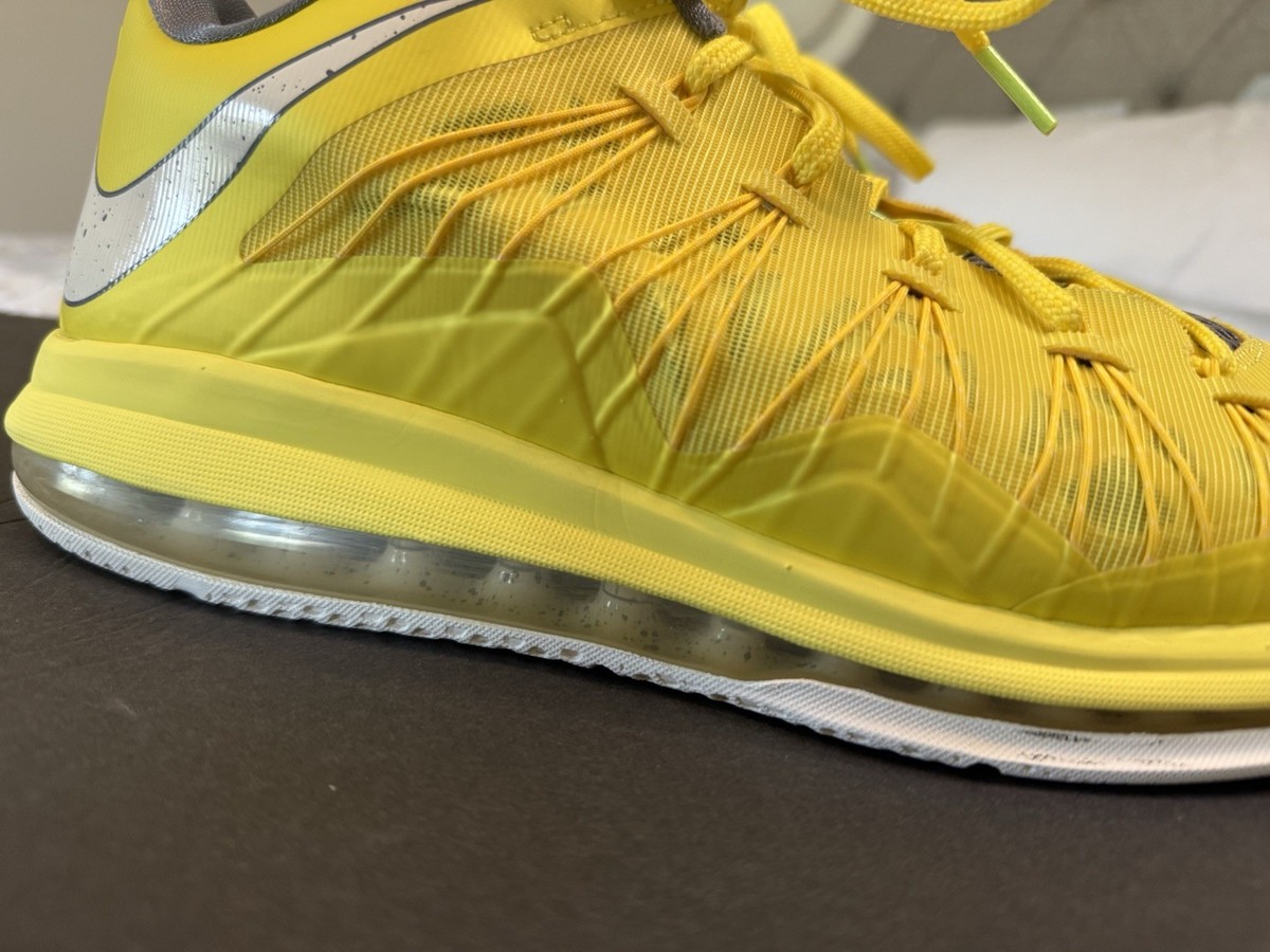 Nike LeBron Zoom View 5