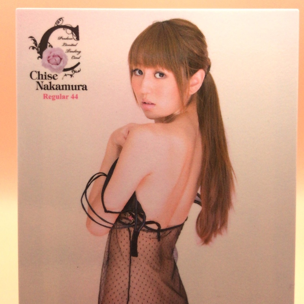 セクシーカード】11枚セット 水着 RG27 Chise Nakamura TCG CARD 2011 Produce gravure Bikini
