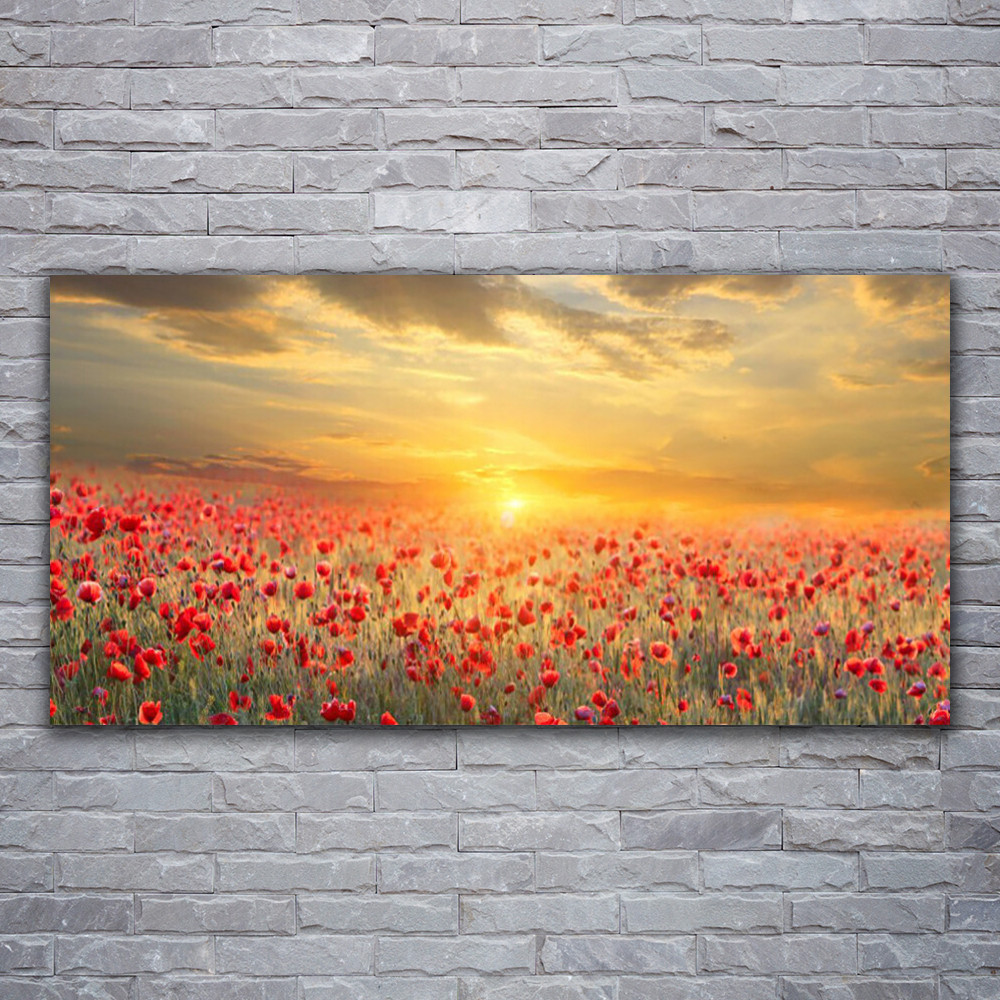 Tableau grand format 120x60 cm pour illuminer un mur sombre avec une prairie de pavots