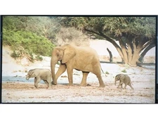 Philips 85-inch 4K Commercial Digital Signage Display Android Smart 86BDL4650D