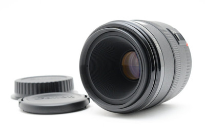 Amazon.com : Canon 50mm F2.5 EF Macro Lens : Macro Lens